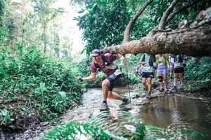 BIB: 
                            <button type="button" onclick="openModal(25454984)" class="btn btn-primary btn-sm float-right btn-popup" data-toggle="modal" data-target=".modal-high-quality">
                        <i class="fas fa-shopping-cart"></i> Add to Cart
                    </button>
                                            <button type="button" onclick="isThisMe(25454984, true)" class="btn btn-success btn-sm float-right btn-popup btn-isme hidden" data-toggle="tooltip" data-placement="bottom" title="นี่คือรูปของคุณใช่ไหม คลิกที่นี่เพื่อเอาเข้าอัลบั้ม">
                        <i class="fas fa-plus"></i> Add to album
                    </button>
                    <button type="button" onclick="isThisMe(25454984, false)" class="btn btn-warning btn-sm float-right btn-popup btn-isnotme hidden">
                        <i class="fas fa-ban"></i> Remove from album
                    </button>